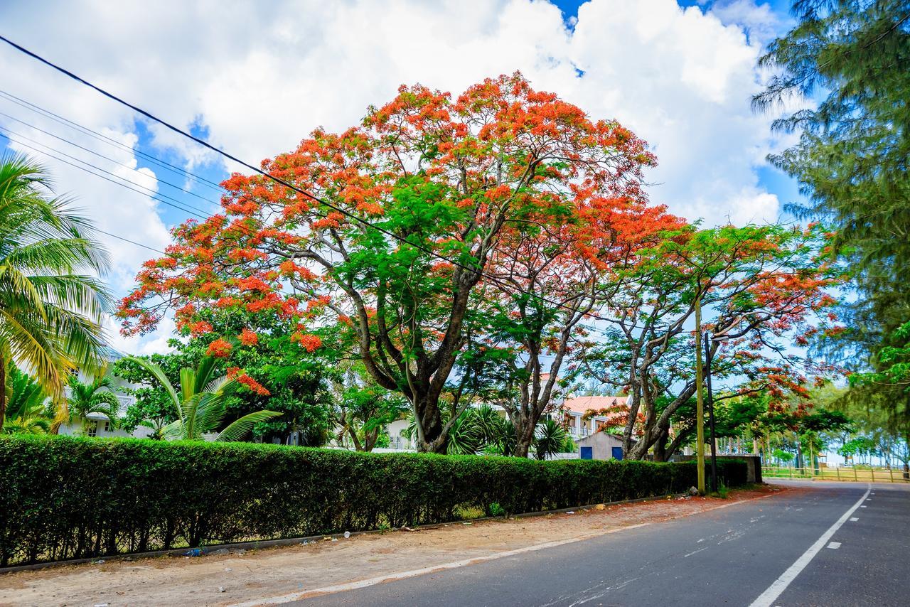 Garcon Des Iles Villa มงต์ชัวซี ภายนอก รูปภาพ